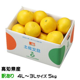 ぶんたん 土佐文旦 風のいたずら 訳あり 4L～3L 5kg 高知県産 ブンタン とさぶんたん トサブンタン