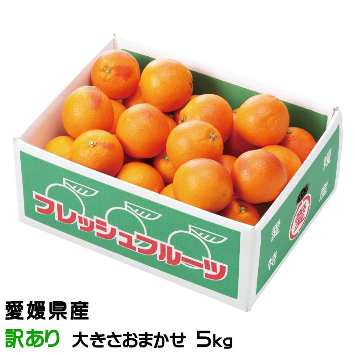和歌山県有田産ブラッドオレンジ（タロッコ種）１２個 コンパクトBOX