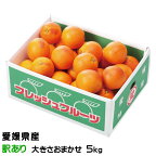 みかん タロッコオレンジ ブラッドオレンジ 風のいたずら 訳あり 大きさおまかせ 5kg 愛媛県 ミカン 蜜柑