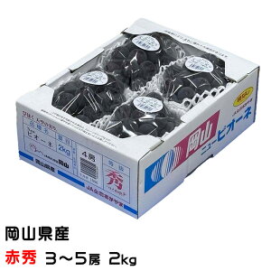 �Ԃǂ� �V��̎��� �ԏG 3�`5�[ 2kg �тق� �j���[�s�I�[�l ���� �u�h�E