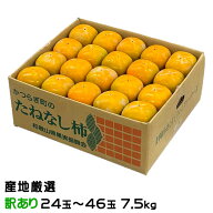 柿 種なし柿 風のいたずら ちょっと訳あり 24玉〜46玉 7.5kg 産地厳選 かき カキ ギフト お取り寄せ