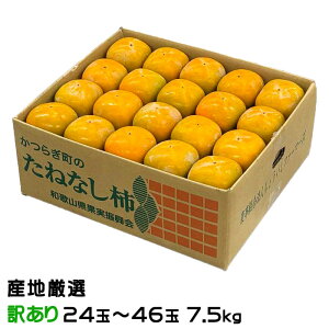 ` Ȃ` ̂ Ɩ󂠂 24ʁ`46 7.5kg YnI  JL Mtg 