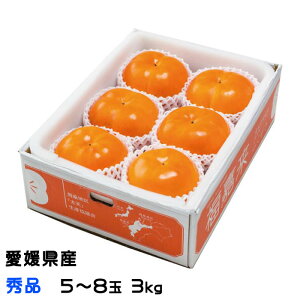 Ε ` V` Ă񂩂 Gi  5ʁ`8 3kg QY  JL Mtg 