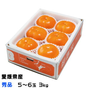 Ε ` V` Ă񂩂 Gi  5ʁ`6 3kg QY  JL