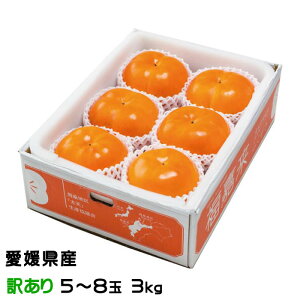 Ε ` V` Ă񂩂 ̂ Ɩ󂠂 5ʁ`8 3kg QY  JL Mtg 