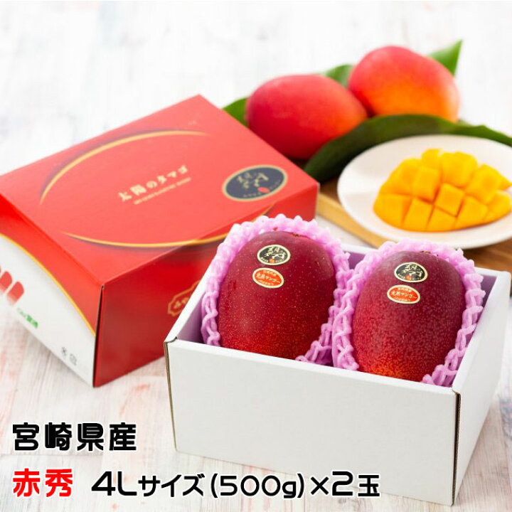 楽天市場】〇マンゴー 太陽のタマゴ 赤秀 4L 500g以上×2玉 JA宮崎 