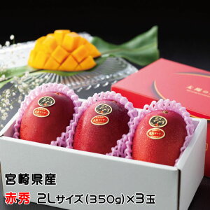 �}���S�[ ���z�̃^�}�S �ԏG 2L 350g�ȏ�×3�� JA�{��o�ϘA �{�茧�Y ���n�}���S�[ ���z�̂��܂� �M�t�g �����񂹃O����