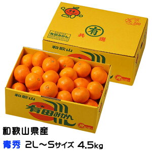 ݂ Lc݂ G 2L`STCY 4.5kg  a̎RY JA肾 ~J  Mtg