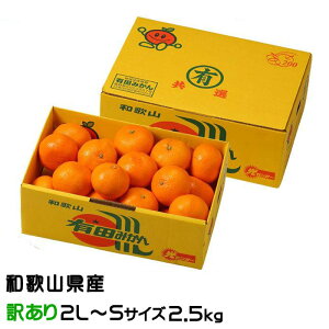 みかん 有田みかん 風のいたずら 訳あり 2L〜Sサイズ 2.5kg ★ 和歌山県産 JAありだ ミカン 蜜柑 ギフト