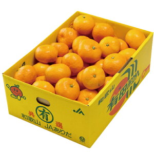 みかん 10kgの人気商品 通販 価格比較 価格 Com