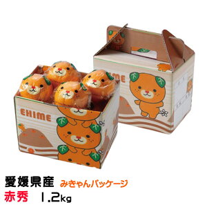 ݂ ݂ ݂pbP[W ԏG 1.2kg 8`12 QY JAЂߒ Iʏ ~J  Mtg