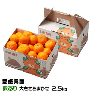 ݂ ݂ 󂠂 傫܂ 2.5kg ݂񔠓 QY JAЂߒ Iʏ ~J  Mtg