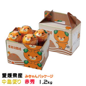 Ε ݂ ݂ ݂pbP[W ւ ԏG 1.2kg 8`12 QY JAЂߒ Iʏ ~J  Mtg