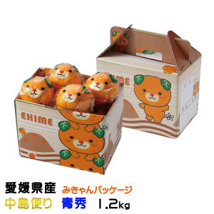 Ε ݂ ݂ ݂pbP[W ւ G 1.2kg 8`12 QY JAЂߒ Iʏ ~J  Mtg