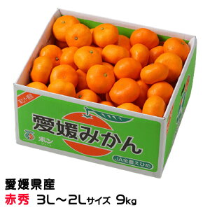 Ε ݂ ݂ ԏG 3L`2LTCY 9kg QY JAЂߒ Iʏ ~J  Mtg