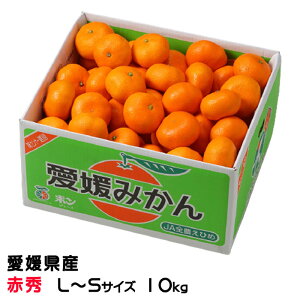 Ε ݂ ݂ ԏG L`STCY 10kg QY JAЂߒ Iʏ ~J  Mtg