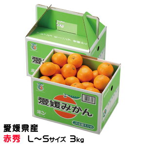 ݂ ݂ ԏG L`STCY 3kg QY JAЂߒ Iʏ ~J  Mtg