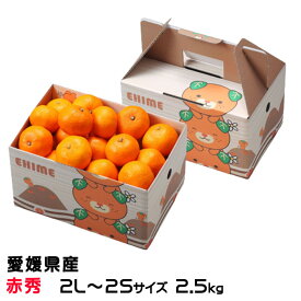 みかん 中島みかん 赤秀 2L〜2Sサイズ 2.5kg みきゃん箱入り 愛媛県産 JAえひめ中央 中島選果場 ミカン 蜜柑 ギフト