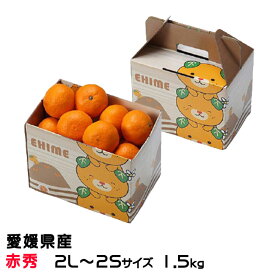 みかん 中島みかん 赤秀 2L〜2Sサイズ 1.5kg みきゃん箱入り 愛媛県産 JAえひめ中央 中島選果場 ミカン 蜜柑 ギフト