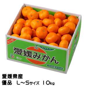 ݂ ݂ Di L`STCY 10kg QY JAЂߒ Iʏ ~J  Mtg