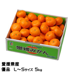 Ε ݂ ݂ Di L`STCY 5kg QY JAЂߒ Iʏ ~J  Mtg