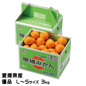 Ε ݂ ݂ Di L`STCY 3kg QY JAЂߒ Iʏ ~J  Mtg