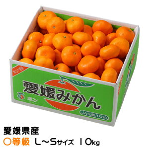 Ε ݂ ݂ Z L`STCY 10kg QY JAЂߒ Iʏ ~J  Mtg