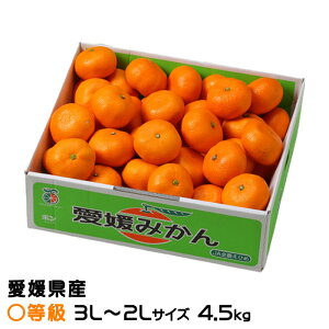 ݂ ݂ Z 3L`2LTCY 4.5kg QY JAЂߒ Iʏ ~J  Mtg