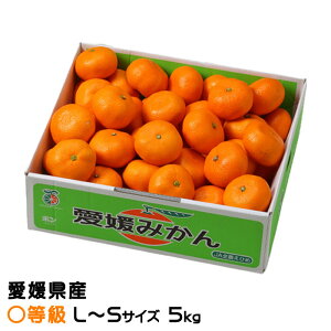 ݂ ݂ Z L`STCY 5kg QY JAЂߒ Iʏ ~J  Mtg