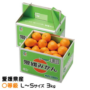 Ε ݂ ݂ Z L`STCY 3kg QY JAЂߒ Iʏ ~J  Mtg