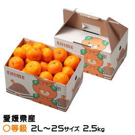 みかん 中島みかん 〇等級 2L〜2Sサイズ 2.5kg みきゃん箱入り 愛媛県産 JAえひめ中央 中島選果場 ミカン 蜜柑 ギフト