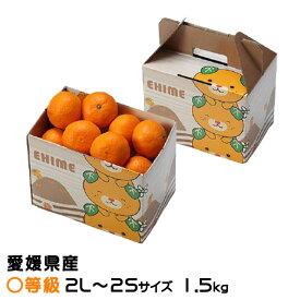 みかん 中島みかん 〇等級 2L〜2Sサイズ 1.5kg みきゃん箱入り 愛媛県産 JAえひめ中央 中島選果場 ミカン 蜜柑 ギフト