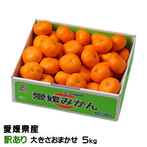 ݂ ݂ 󂠂 傫܂ 5kg QY JAЂߒ Iʏ ~J  Mtg