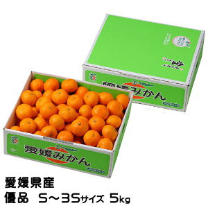 Ε ݂ Ɏ|ʂ݂ Di S`3STCY 5kg QY ~J  Mtg