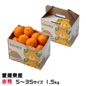 Ε ݂ Ɏ|ʂ݂ ԏG S`3STCY 1.5kg ݂񔠓 QY ~J  Mtg