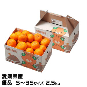 Ε ݂ Ɏ|ʂ݂ Di S`3STCY 2.5kg ݂񔠓 QY ~J  Mtg