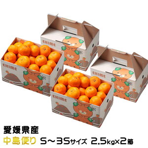 Ε ݂ Ɏ|ʂ݂ 2.5kg×2 ւ S`3STCY x12xȏ ݂񔠓 QY ~J  Mtg