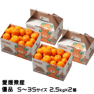 Ε ݂ Ɏ|ʂ݂ 2.5kg×2 Di S`3STCY ݂񔠓 QY ~J  Mtg