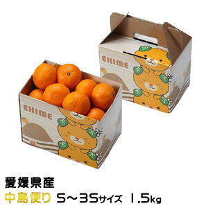 Ε ݂ Ɏ|ʂ݂ ւ S`3STCY 1.5kg ݂񔠓 QY ~J 