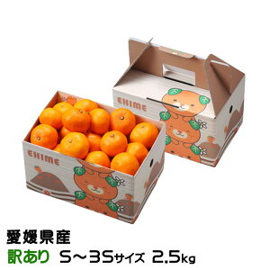 ݂ Ɏ|ʂ݂ ̂ 󂠂 S`3STCY 2.5kg QY ~J  ~J  Mtg