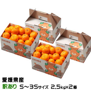 Ε ݂ Ɏ|ʂ݂ 2.5kg×2 ̂ 󂠂 S`3STCY QY ~J  Mtg