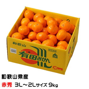 ݂ Lc݂ ԏG 3L`2LTCY 9kg a̎RY JA肾 ~J  Mtg