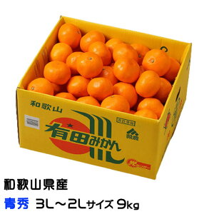 ݂ Lc݂ G 3L`2LTCY 9kg a̎RY JA肾 ~J  Mtg