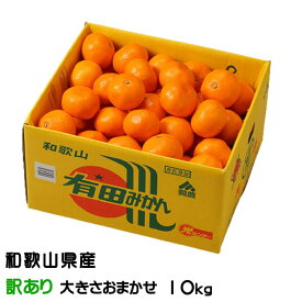 みかん 有田みかん 風のいたずら 訳あり大きさおまかせ 10kg 和歌山県産 JAありだ ミカン 蜜柑 ギフト