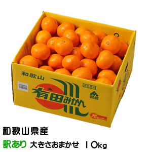 ݂ Lc݂ ̂ 󂠂傫܂ 10kg a̎RY JA肾 ~J  Mtg
