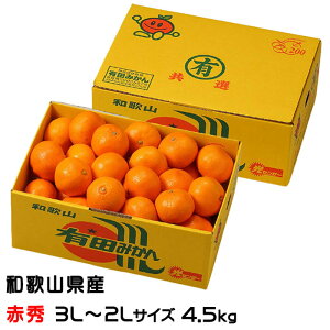 ݂ Lc݂ ԏG 3L`2LTCY 4.5kg a̎RY JA肾 ~J  Mtg