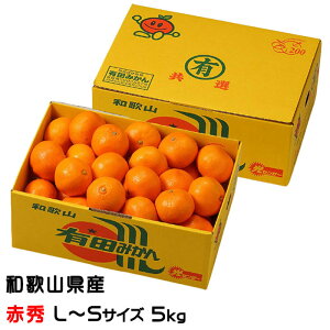 ݂ Lc݂ ԏG L`STCY 5kg a̎RY JA肾 ~J  Mtg