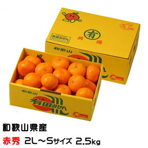 ݂ Lc݂ ԏG 2L`STCY 2.5kg a̎RY JA肾 ~J  Mtg