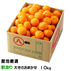 ݂ B݂ YnI ̂ Ɩ󂠂 傫܂ 10kg  ~J Mtg 