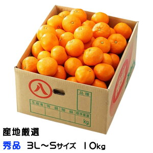 ݂ B݂ YnI Gi 3L`STCY 10kg  ~J Mtg 